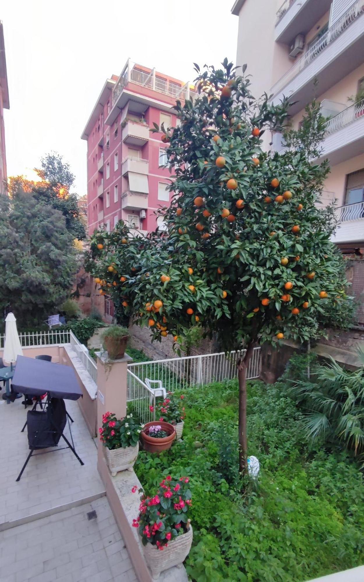 Vatican Green Garden Rzym Zewnętrze zdjęcie