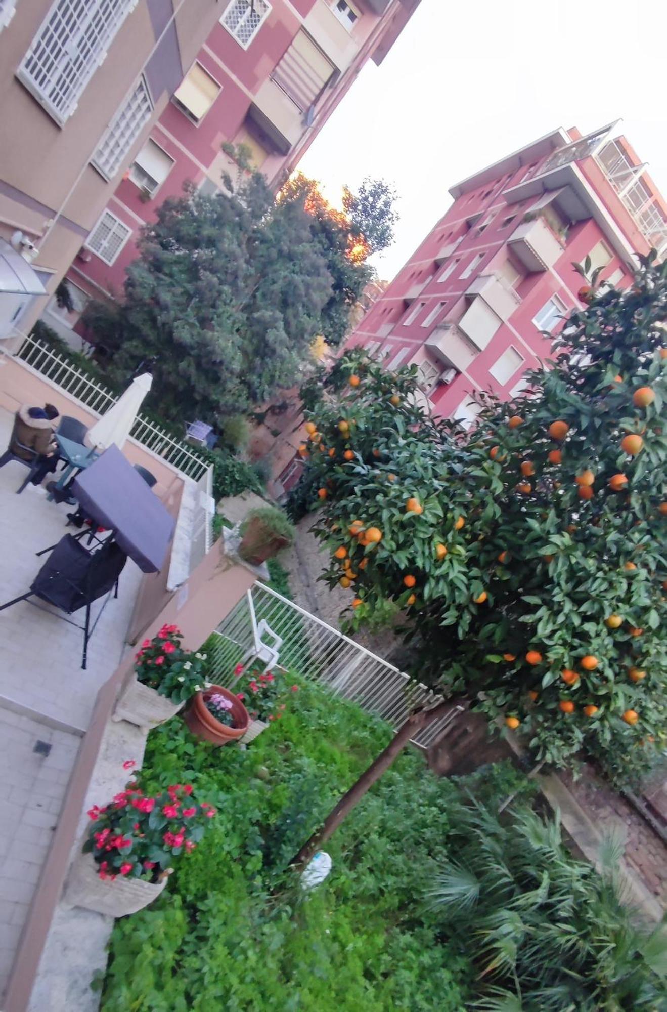 Vatican Green Garden Rzym Zewnętrze zdjęcie